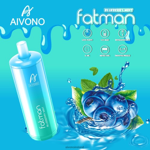 Aivono FATMAN 6800 Blueberry Mint V0F6L422 - Aivono Vape Review