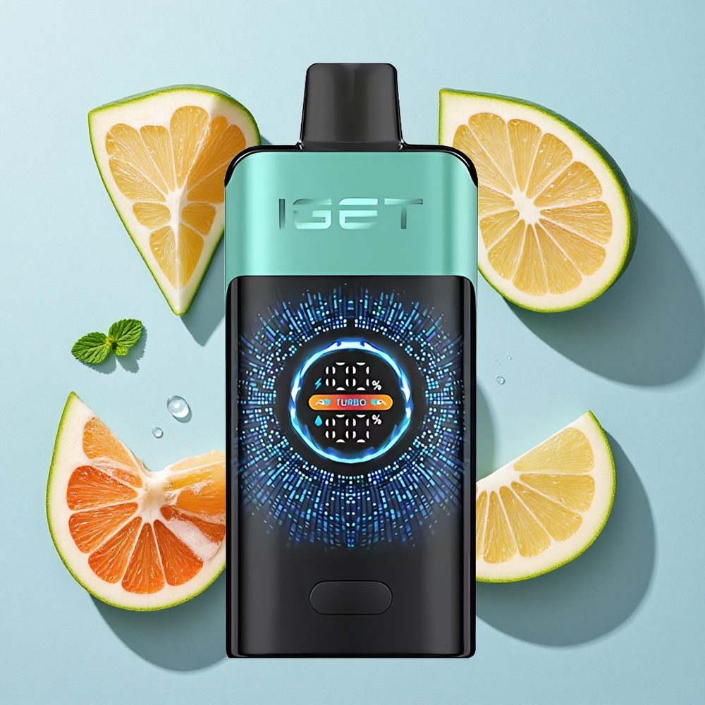 IGET ONE 12000 Puffs 2700mAh Disposable Vape Mountain Spring Mint Ice Ireland Vape Wholesale